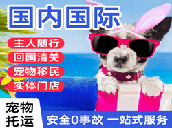 大连机场快运国际宠物托运 【国